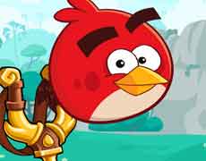 angry bird game