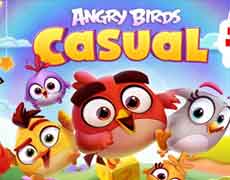 angry birds casual game
