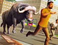 angry bull attack wild hunt simulator